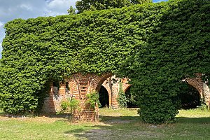 Ruine des ehemaligen Zisterzienserklosters Himmelpfort zwischen Haussee und Stolpsee, Station der Radreise Kultur & Klöster