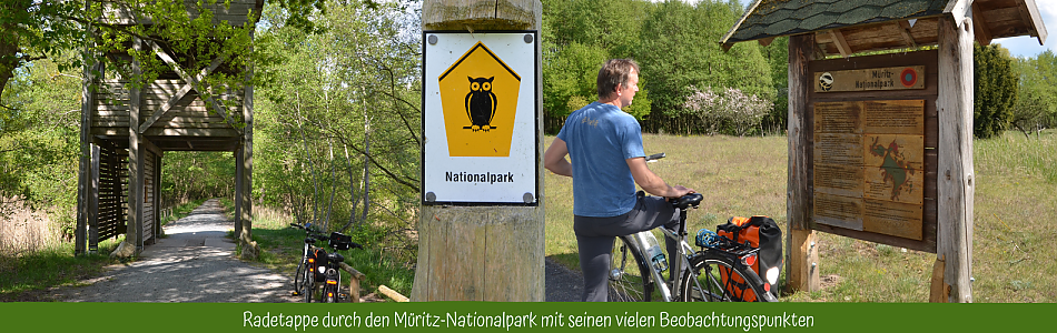 Fahrradtour durch den Müritz-Nationalpark nach Waren