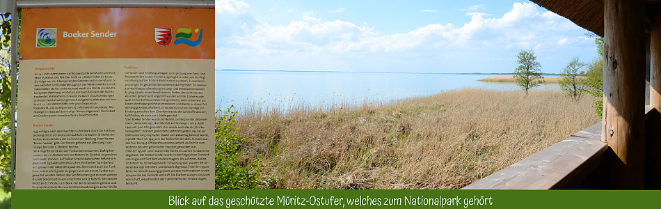 Blick auf die Müritz bei Boek - Radtour durch den Nationalpark