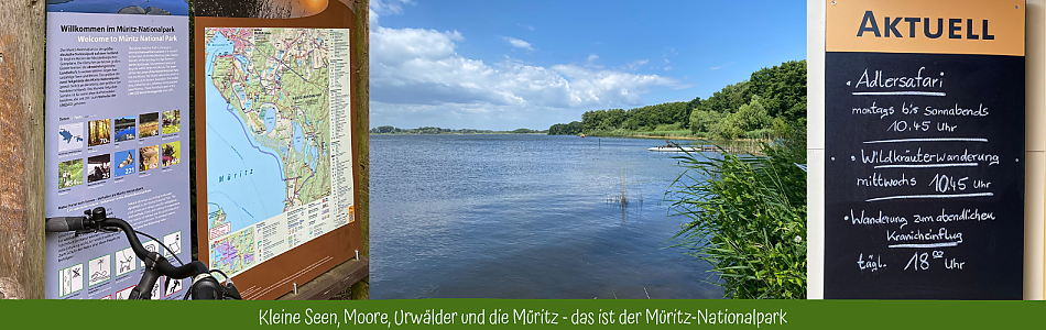 Willkommen zum Radurlaub in der Mecklenburgischen Seenplatte und im Müritz-Nationalpark