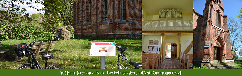 Boek im Müritz-Nationalpark - Radtour